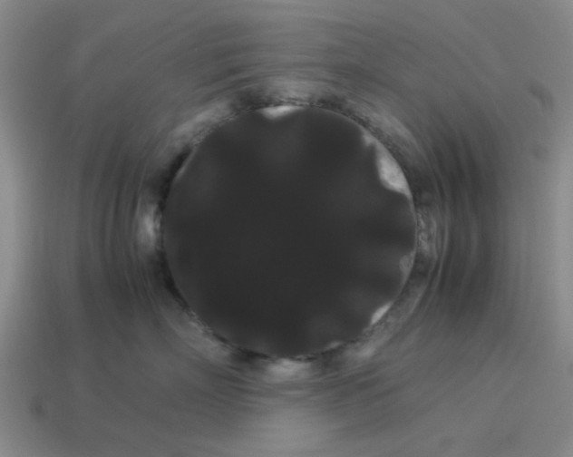 X0000114190718200911061403