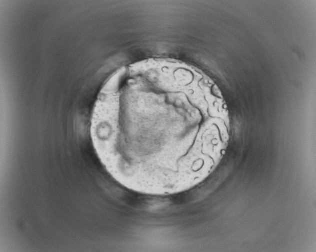 X0000114190719200911061403