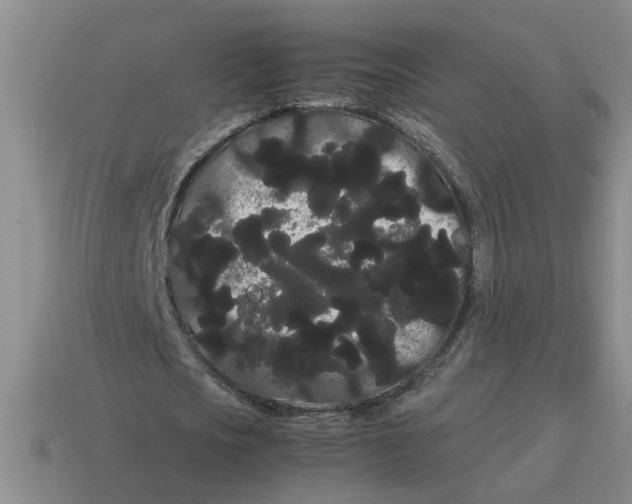 X0000114190721200911061402