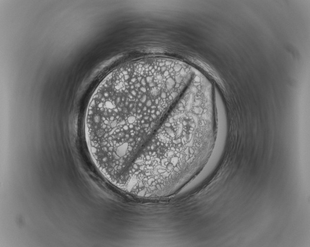 X0000114190722200911061402