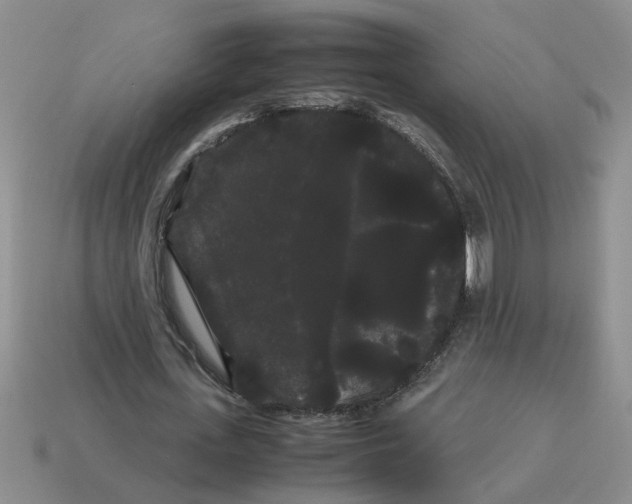 X0000114190723200911061402