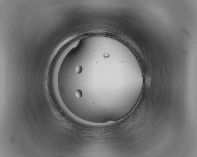 X0000114190724200911061402