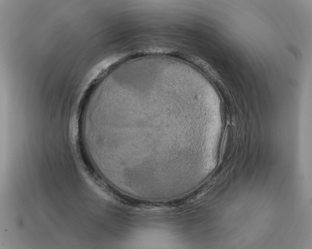 X0000114190726200911061402