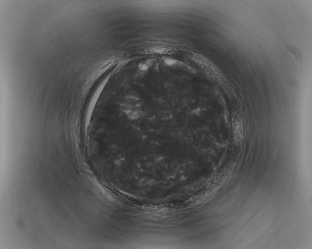 X0000114190729200911061402