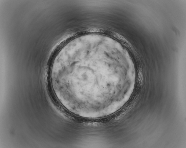 X0000114190730200911061402