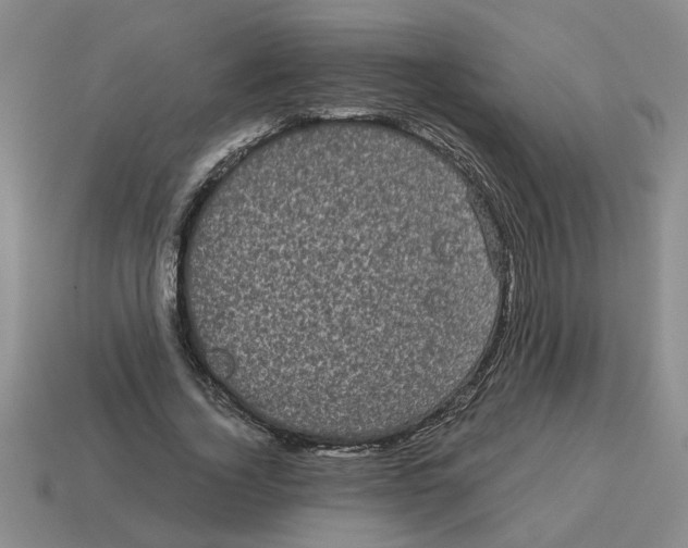 X0000114190732200911061402