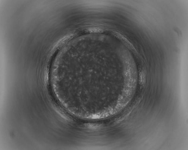 X0000114190733200911061402