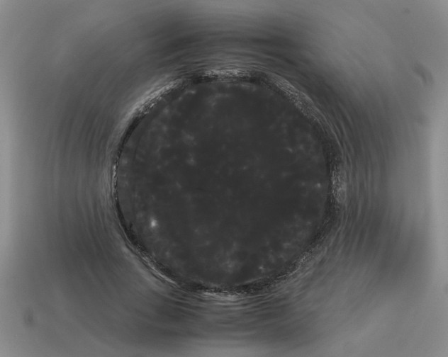 X0000114190735200911061402