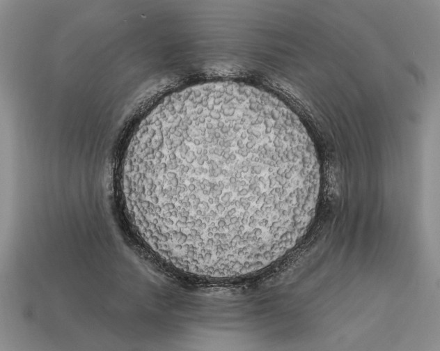 X0000114190738200911061402