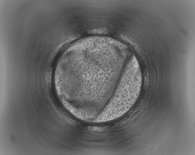 X0000114190739200911061402