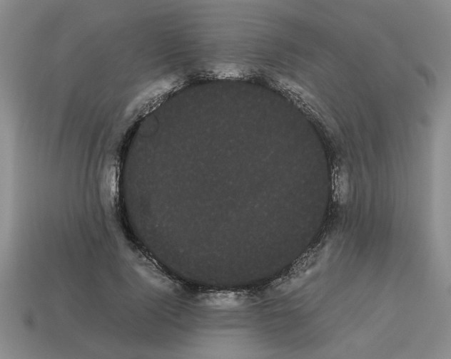 X0000114190740200911061402