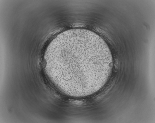 X0000114190743200911061402