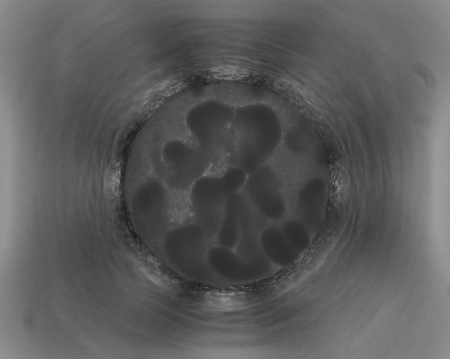 X0000114190745200911061402