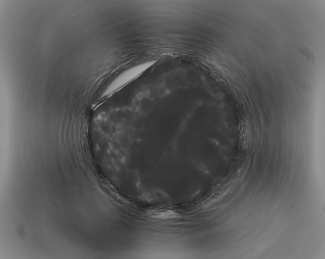 X0000114190747200911061403