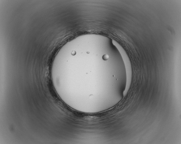 X0000114190748200911061403