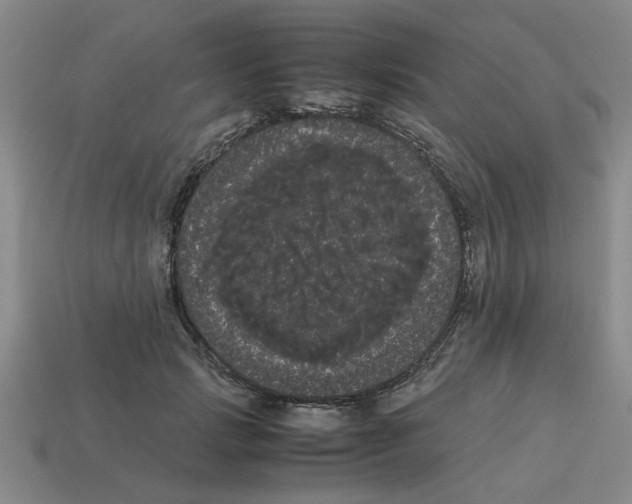 X0000114190749200911061403