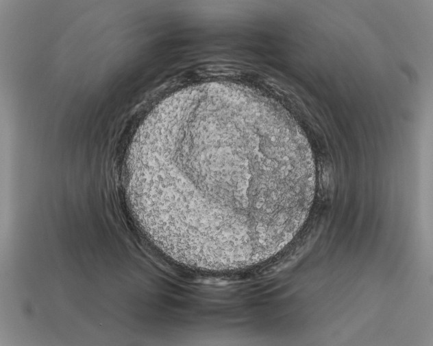 X0000114190751200911061403