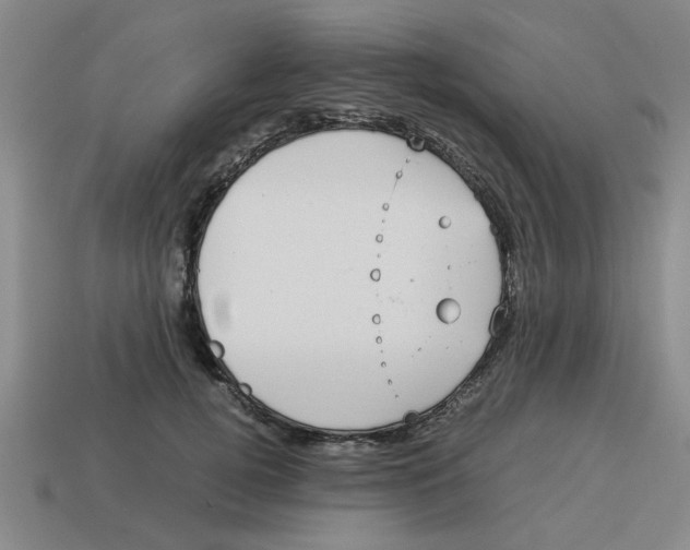 X0000114190752200911061403