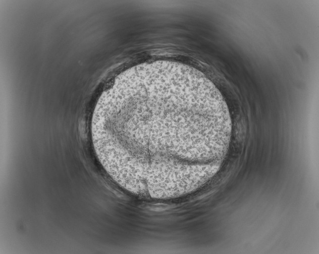 X0000114190755200911061403