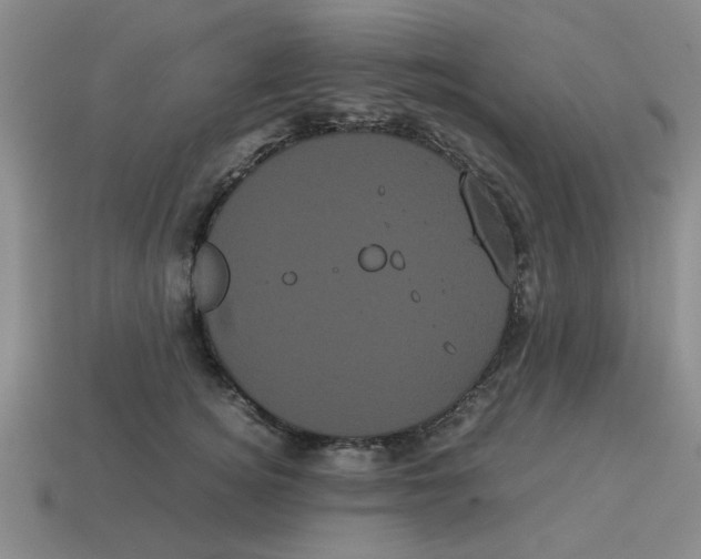 X0000114190756200911061403