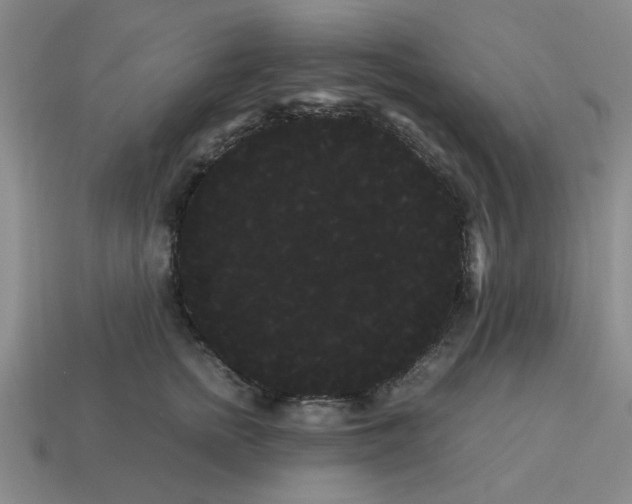 X0000114190758200911061403