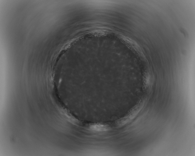 X0000114190759200911061403