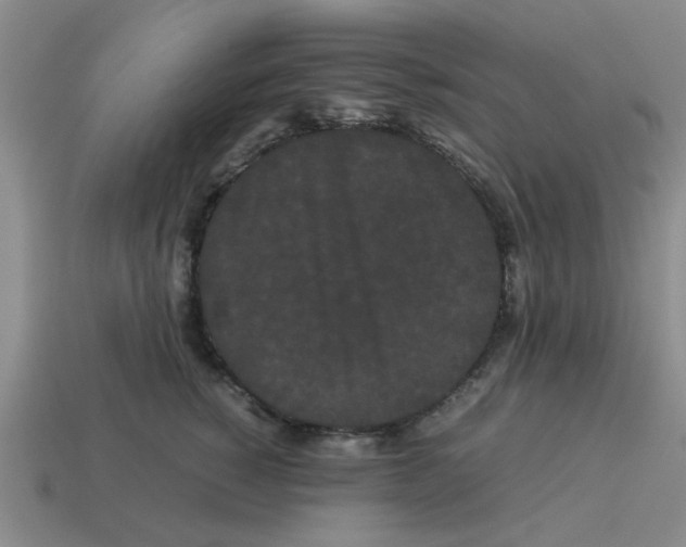 X0000114190760200911061403