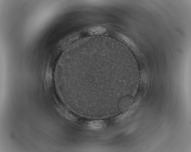 X0000114190761200911061403