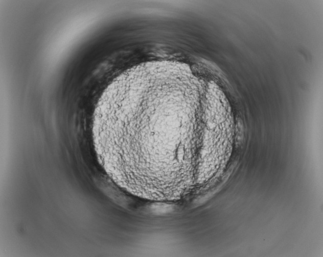 X0000114190762200911061403