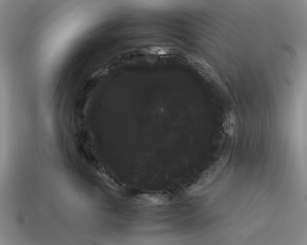 X0000114190763200911061403