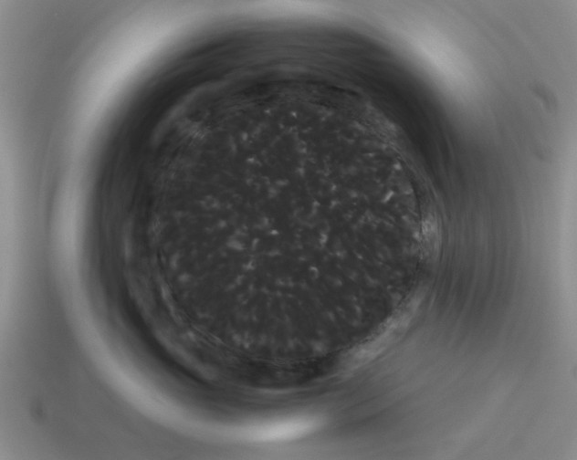 X0000114190765200911061403