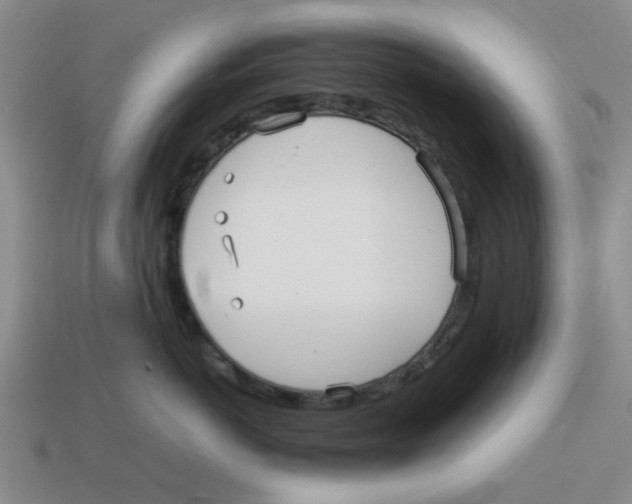 X0000114190766200911061403