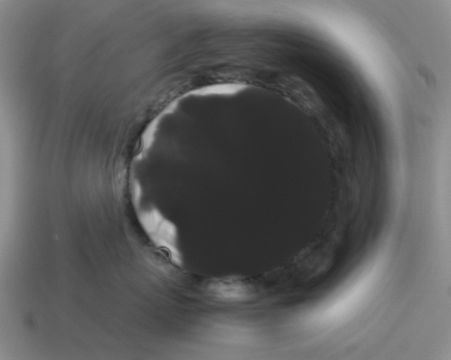 X0000114190767200911061403