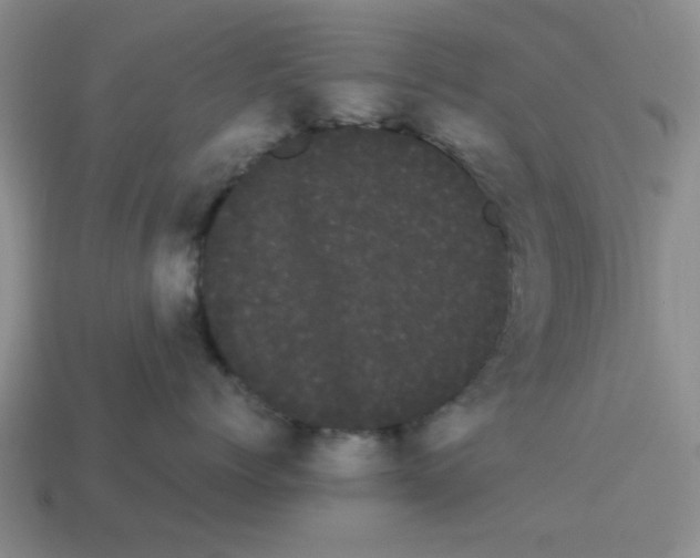 X0000114190768200911061403