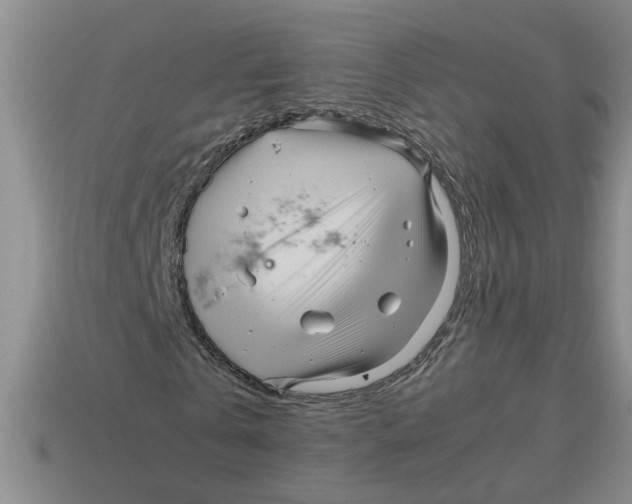 X0000114190769200911061402