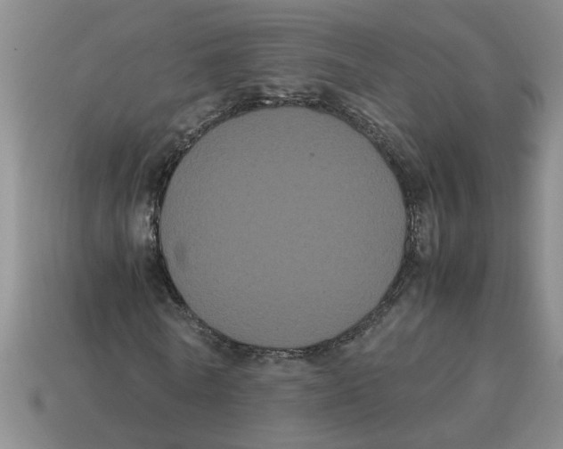 X0000114190770200911061402