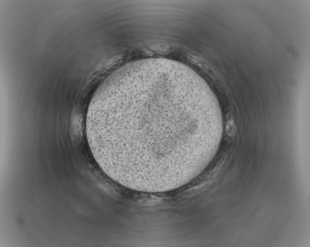 X0000114190772200911061402