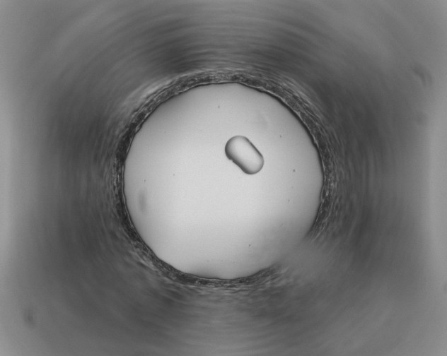 X0000114190773200911061402