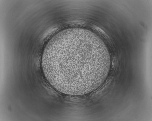 X0000114190774200911061402