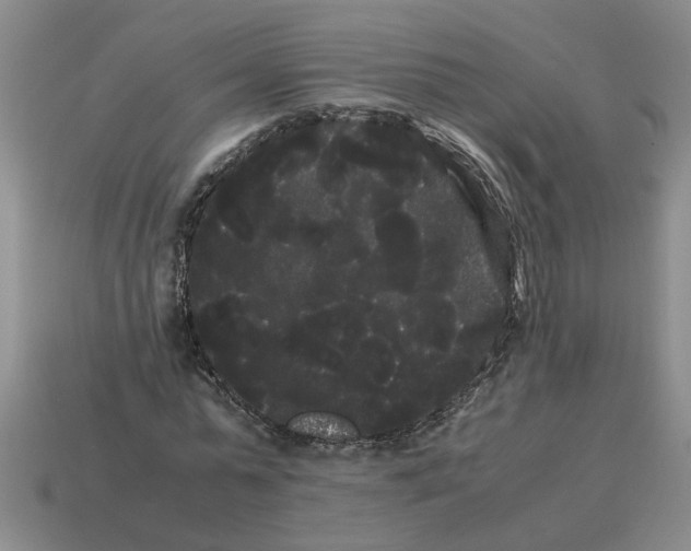 X0000114190775200911061402