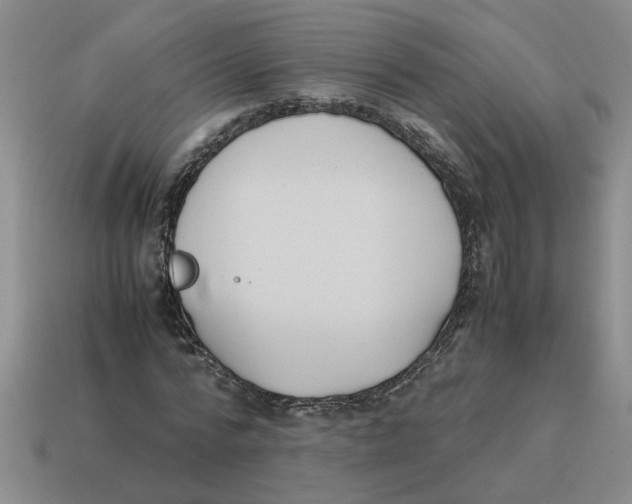 X0000114190776200911061402