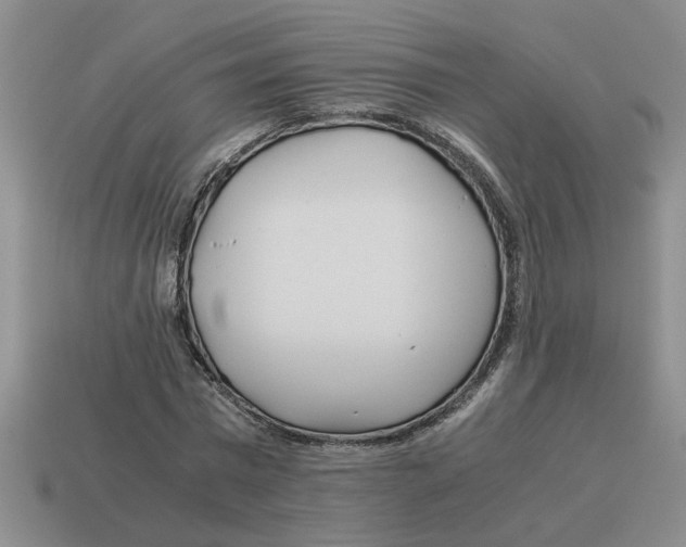 X0000114190777200911061402