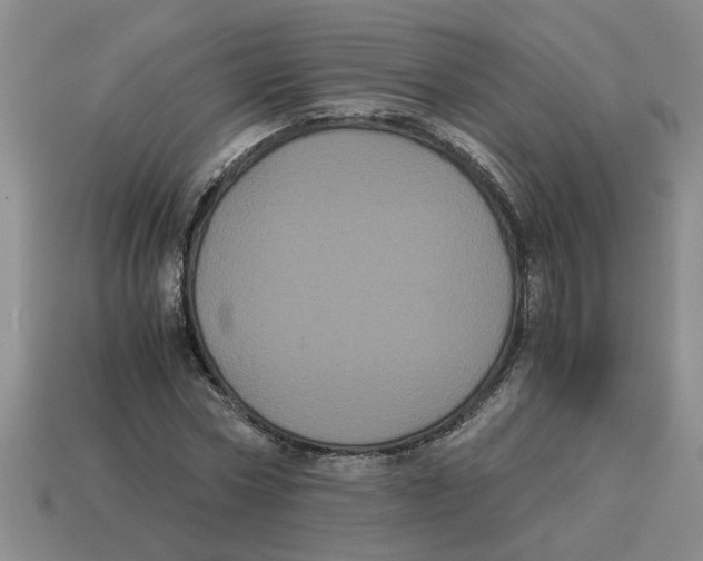 X0000114190778200911061402