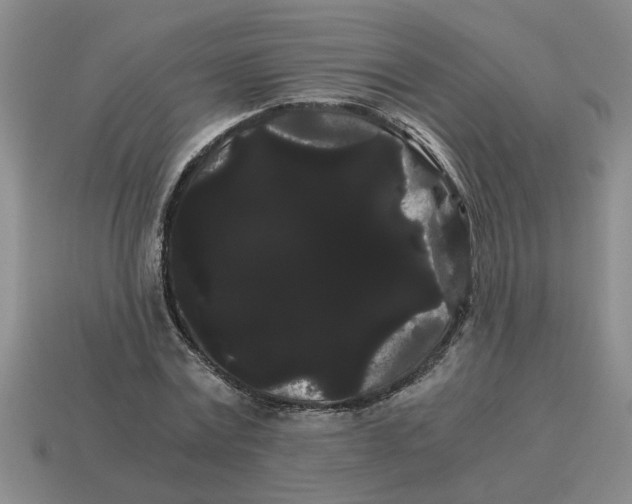 X0000114190779200911061402