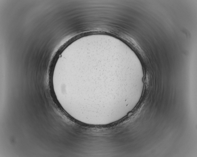 X0000114190780200911061402