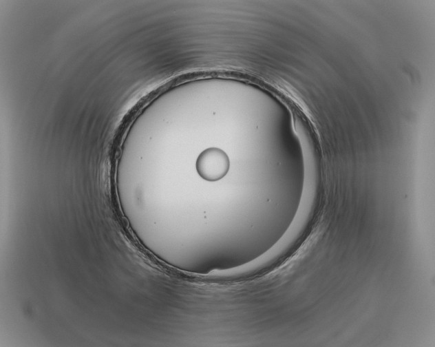 X0000114190781200911061402