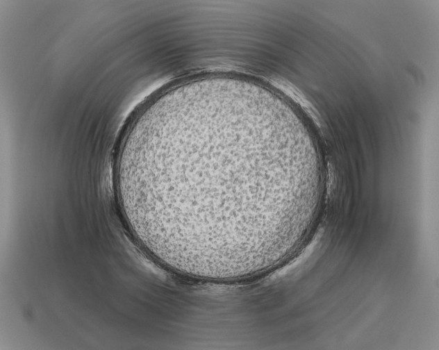 X0000114190782200911061402