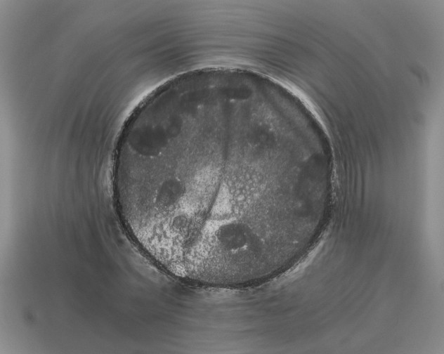 X0000114190783200911061402