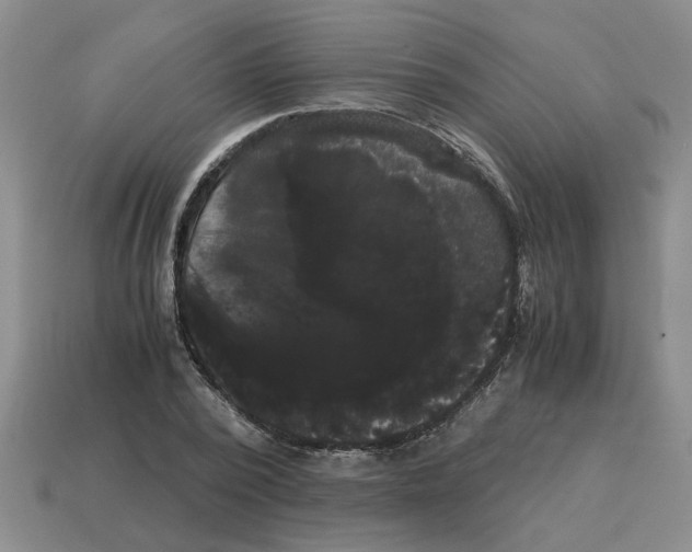 X0000114190784200911061402