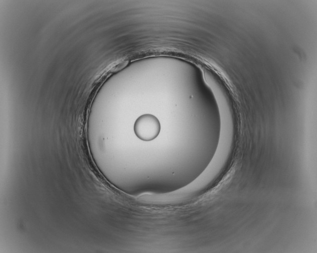 X0000114190785200911061402